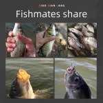 9KM 50~200Pcs Automatic Flip Fishing Hook Carp Hook High Carbon Steel With Eye Sharp Barbed - Imagine 6